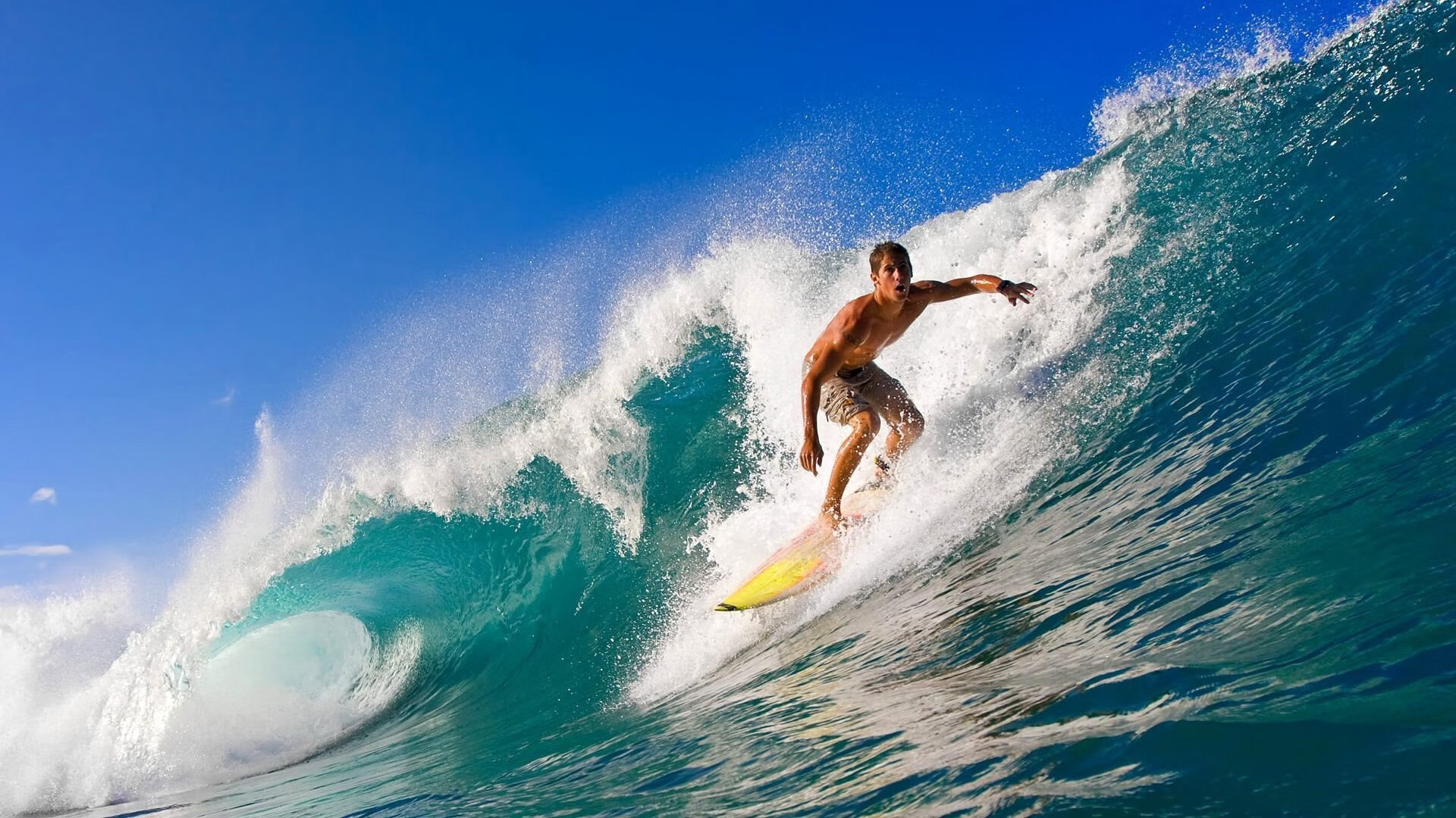 大学联赛选拔机制改革，提高比赛竞争力，大学生联赛是什么